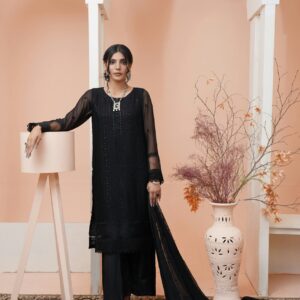 Black Net Embroidered Salwar Kameez Set for Women – Party & Festive Wear
